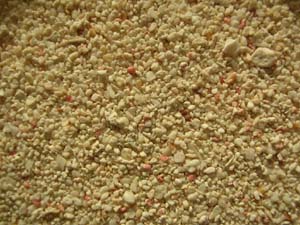 Playa Sardinera, Fajardo, Puerto Rico